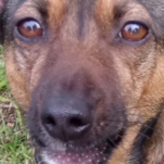 Profile picture of kimmabear88@yahoo.com.au