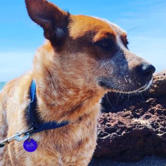 Profile picture of helen