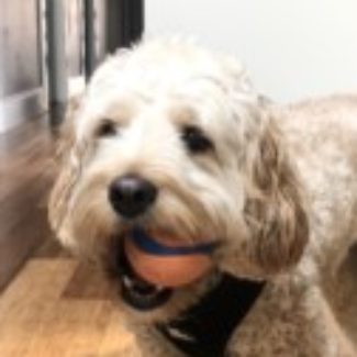 Profile picture of Arc712