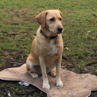 Profile picture of Bel585