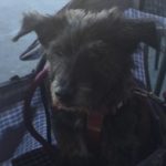Profile picture of 