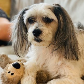 Profile picture of Kacoanpe