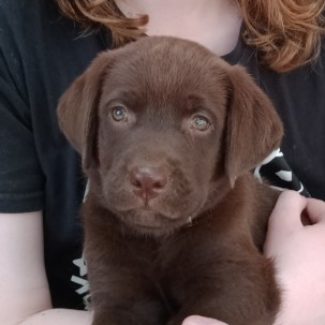 Profile picture of Tuc760