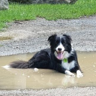 Profile picture of mar394