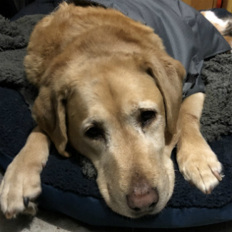 Profile picture of Julius