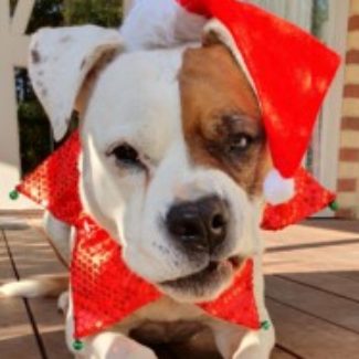 Profile picture of Min247