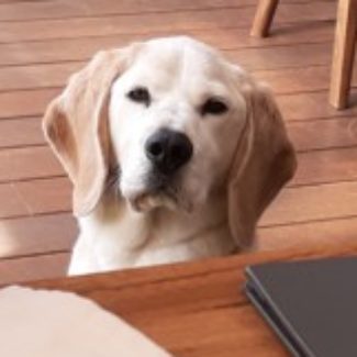 Profile picture of Bud333