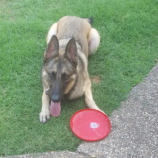 Profile picture of Dra750