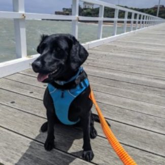 Profile picture of Pop492