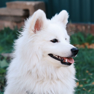 Profile picture of Mero