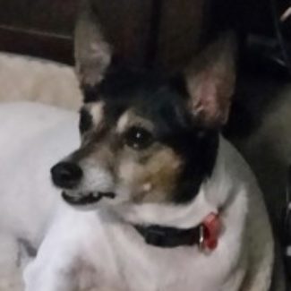 Profile picture of Mojo