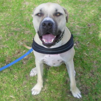 Profile picture of Zeus