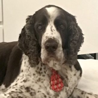 Profile picture of Harry