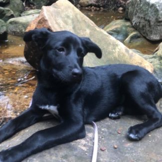 Profile picture of Ava