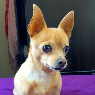 Profile picture of Amy