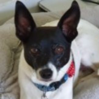 Profile picture of Max