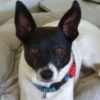 Profile picture of Max