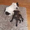 Profile picture of Bonnie & Maisie