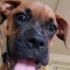 Profile picture of Freya