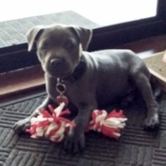 Profile picture of Axle
