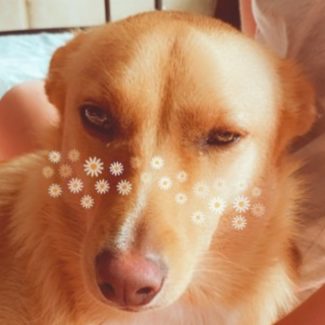 Profile picture of 