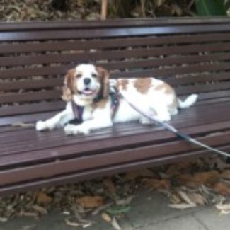 Profile picture of Mildred