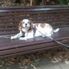 Profile picture of Mildred