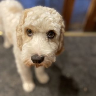 Profile picture of Flora