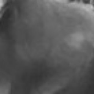 Profile picture of Bella