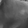 Profile picture of Bella