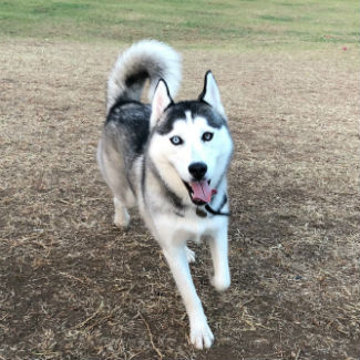 Profile picture of Xena