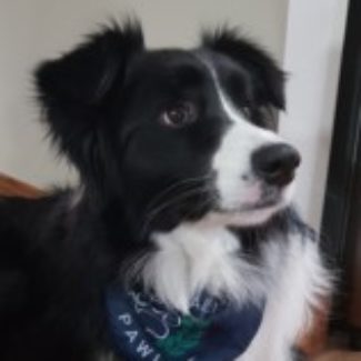 Profile picture of 