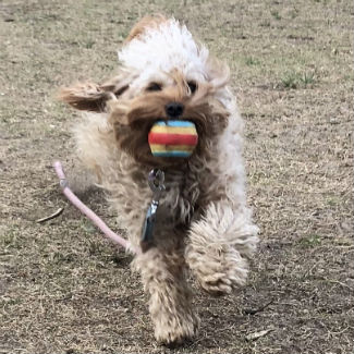 Profile picture of William