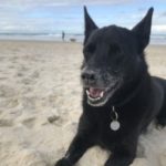 Profile picture of Stella
