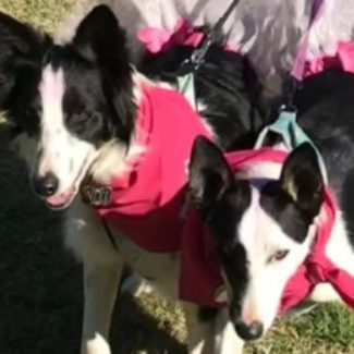 Profile picture of CaliNix