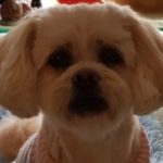 Profile picture of 