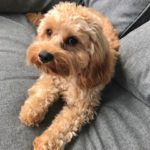 Profile picture of 