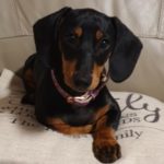 Profile picture of Lottie