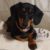 Profile picture of Lottie