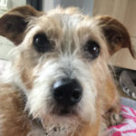 Profile picture of Max