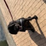 Profile picture of Harlee
