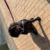 Profile picture of Harlee