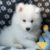 Profile picture of Leche