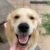 Profile picture of Arlo