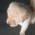 Profile picture of Sully