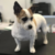 Profile picture of Missy