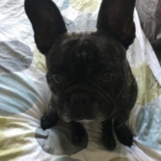 Profile picture of Buddy