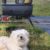 Profile picture of MINDY