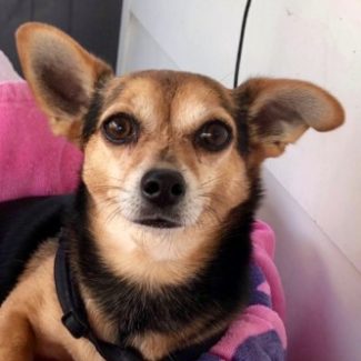 Profile picture of Peanut