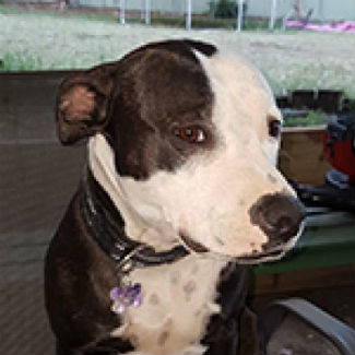 Profile picture of Nanna